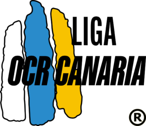 ligaocrcanaria-vectorial-registrado